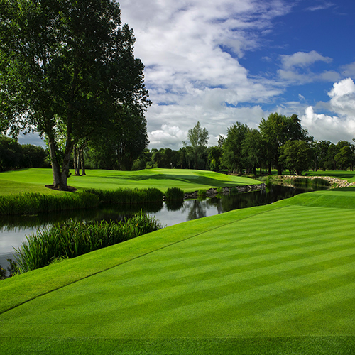 Adare Manor Golf P54