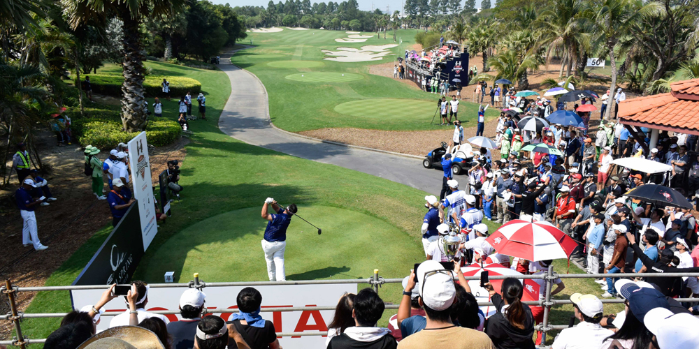 Amata Friendship Cup P54